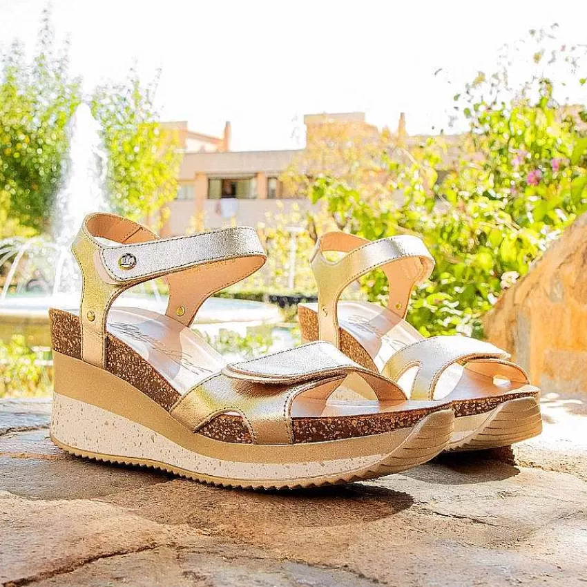 nica_sport_11-2.webp Nica Sport^Panama Jack Sale