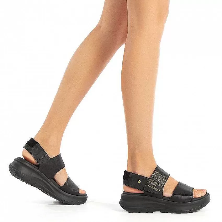 noah_3-3.webp Noah^Panama Jack Cheap